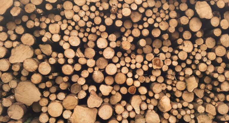 Comment bien choisir son fournisseur de bois de chauffage ?