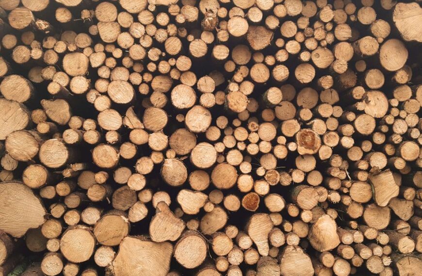 Comment bien choisir son fournisseur de bois de chauffage ?