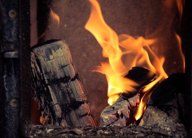 Pourquoi choisir la solution du bois de chauffage ?